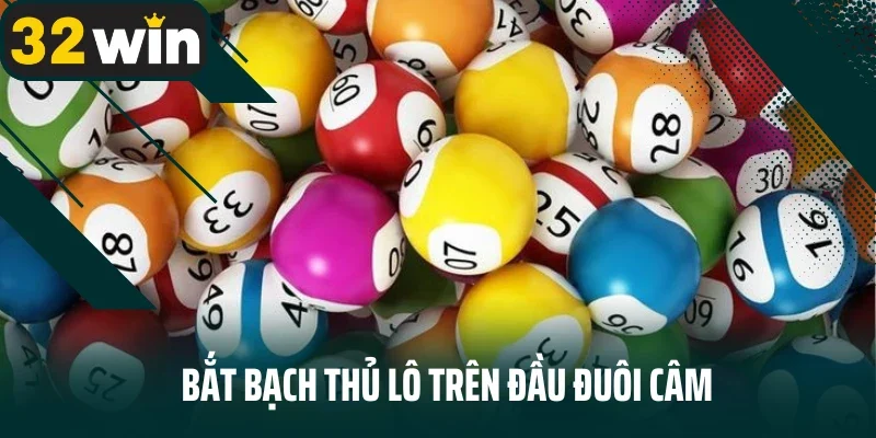 Bắt bạch thủ lô trên đầu đuôi câm