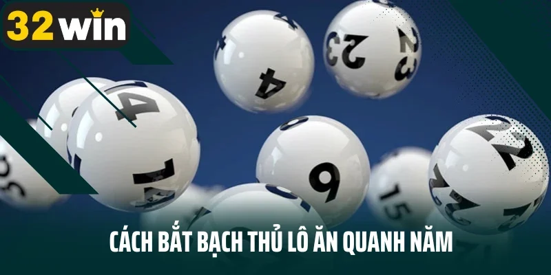 Cách bắt bạch thủ lô ăn quanh năm