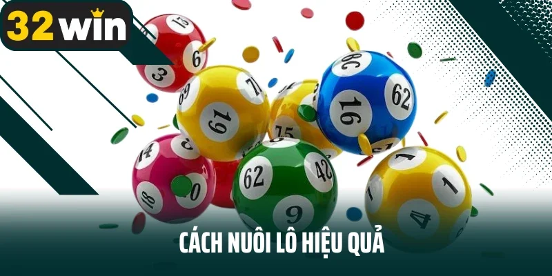Cách nuôi lô hiệu quả