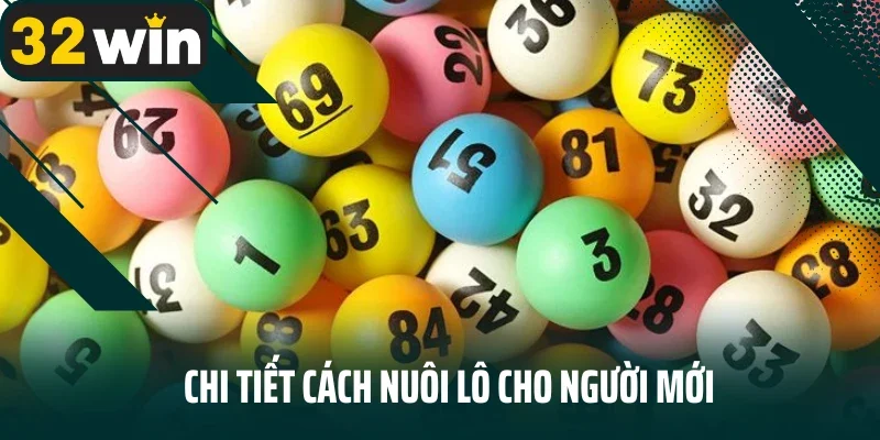 Chi tiết cách nuôi lô cho người mới