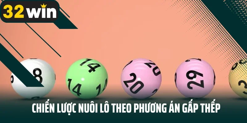 Chiến lược nuôi lô theo phương án gấp thếp