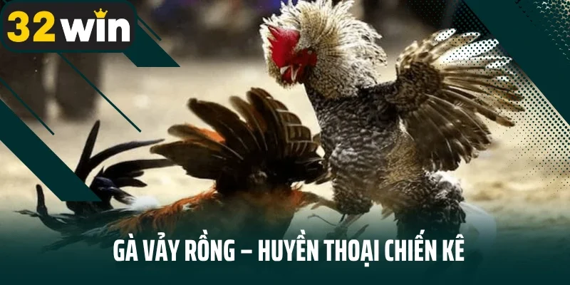 Gà Vảy Rồng