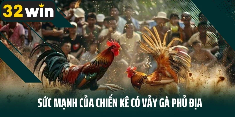 Sức mạnh của chiến kê có vảy gà phủ địa