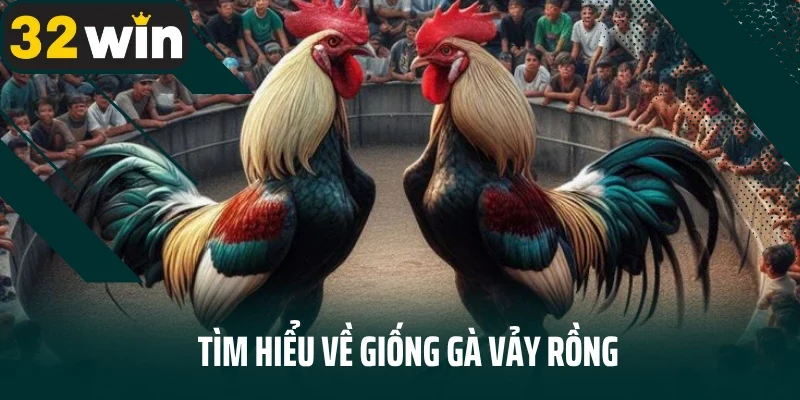 Tìm hiểu về giống gà vảy rồng