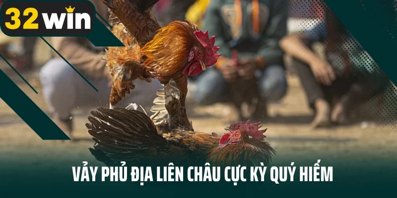 Vảy phủ địa liên châu cực kỳ quý hiếm