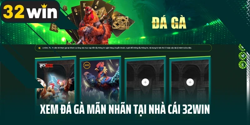 Xem đá gà mãn nhãn tại nhà cái 32win